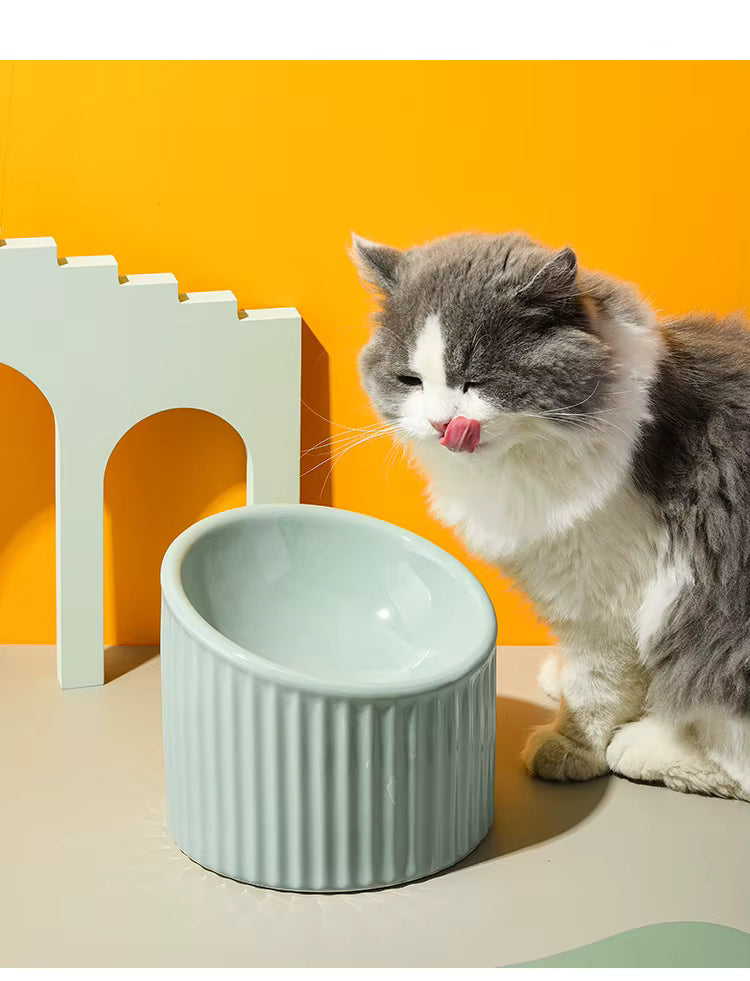 Striped Ceramic Cat Bowl