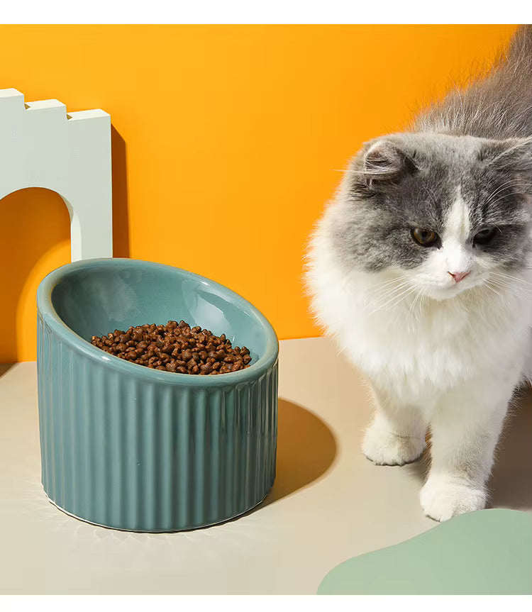 Striped Ceramic Cat Bowl