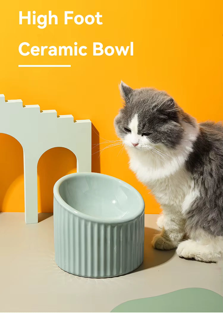 Striped Ceramic Cat Bowl