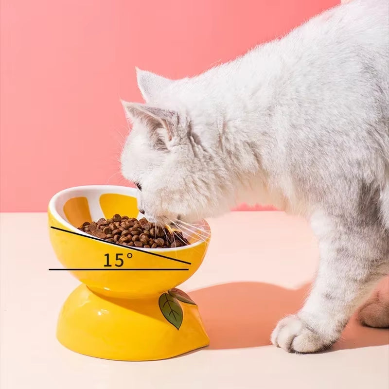 Elevated Fruit-Inspired Ceramic Pet Bowl – Tilted Neck-Friendly Design, Anti-Slip, Cats and Small Dogs Food and Water Bowls Set