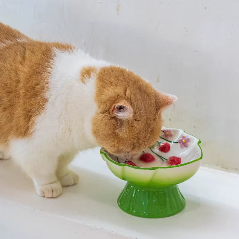 Elevated Ceramic Cat Slow Feeder Bowl with Strawberry Design – Raised Pet Food and Water Dish for Cats and Small Dogs